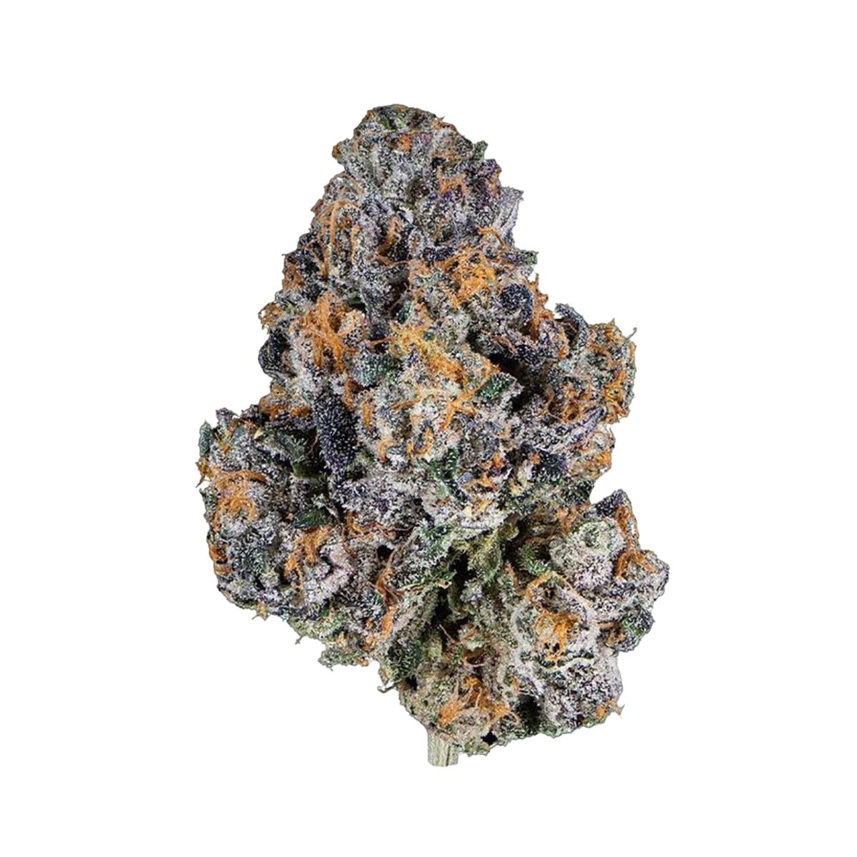 Gelato 41 THCA Flower