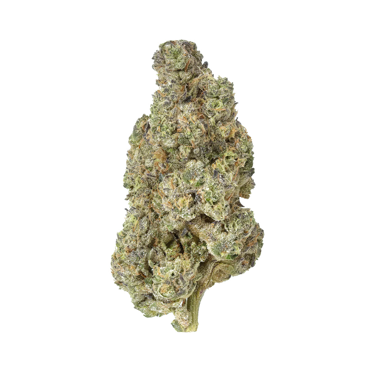 Gusher Mintz THCA Flower