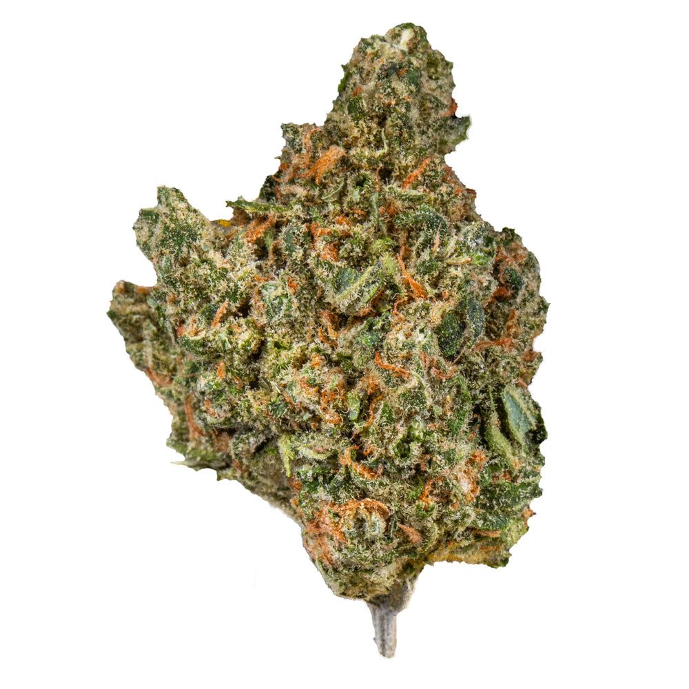 Close-up of Blue Dream cannabis bud with green and orange hairs on a white background