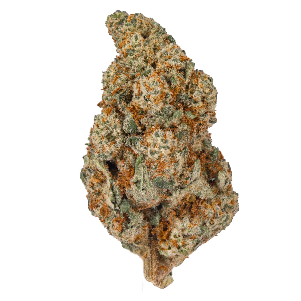 Close-up of a cannabis flower bud with orange hairs and frosty trichomes on white background.