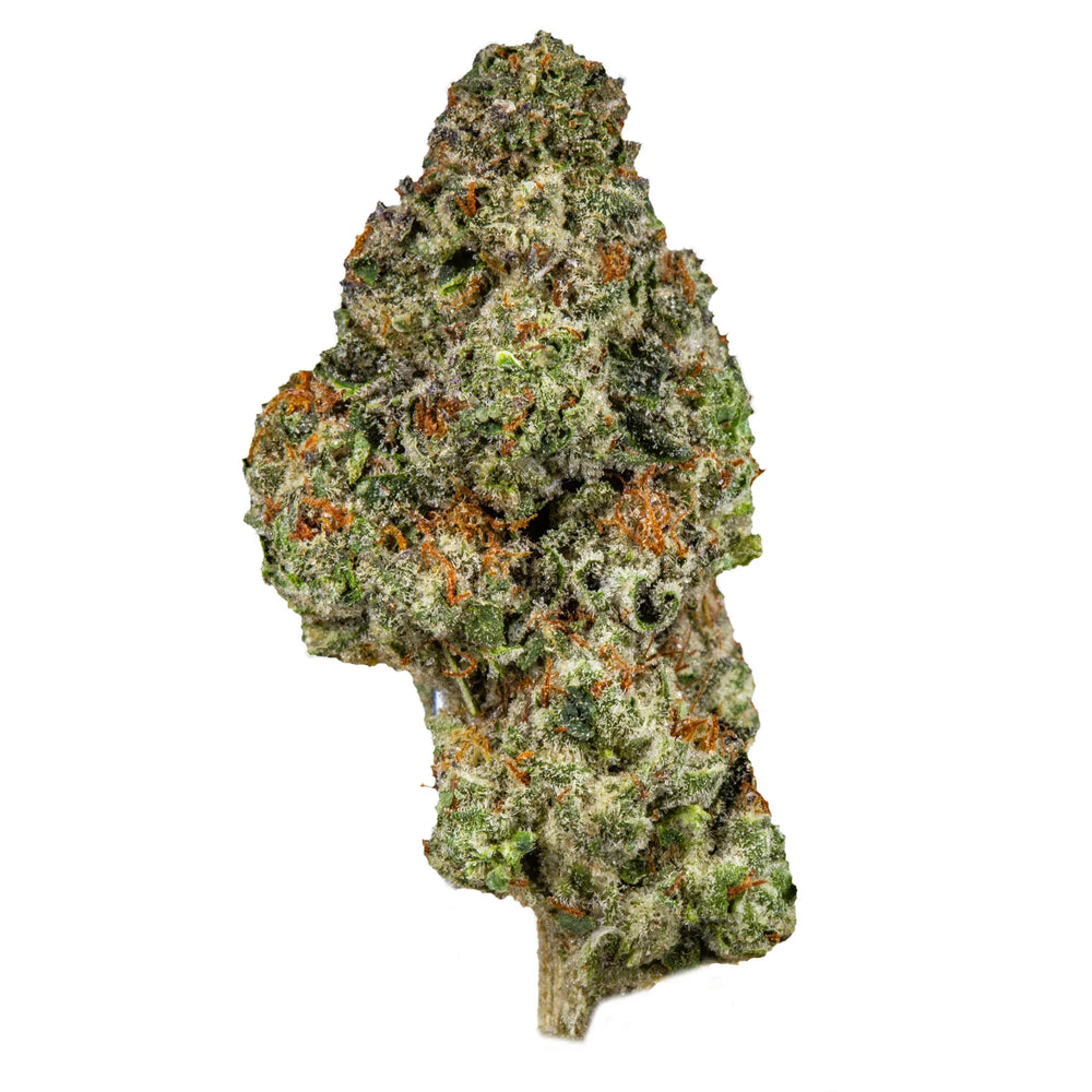 Close-up of Ice Cream Cake cannabis bud with green, purple, and orange trichomes on white background.