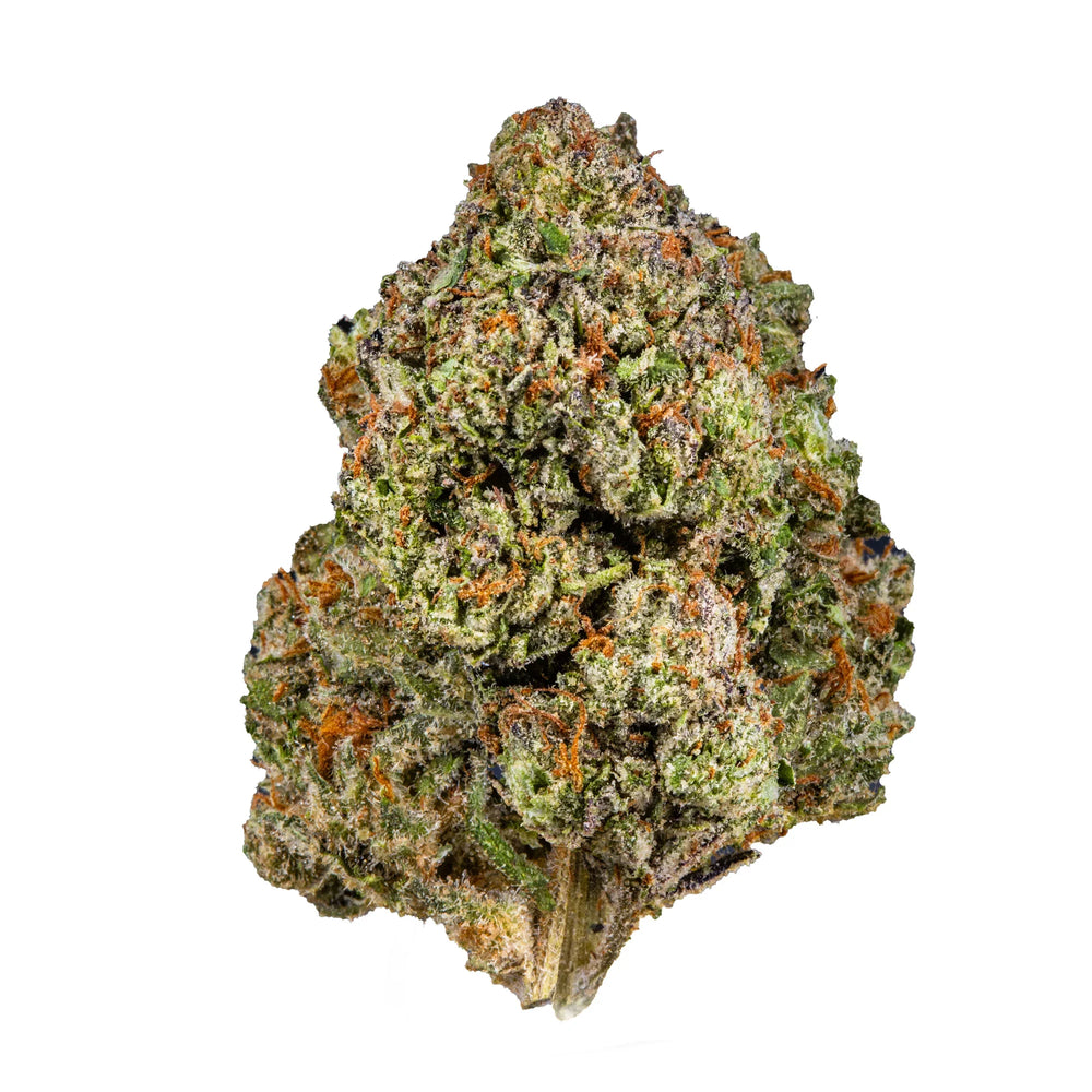 Frosty green and orange Jack Herer hemp flower bud close-up on white background.