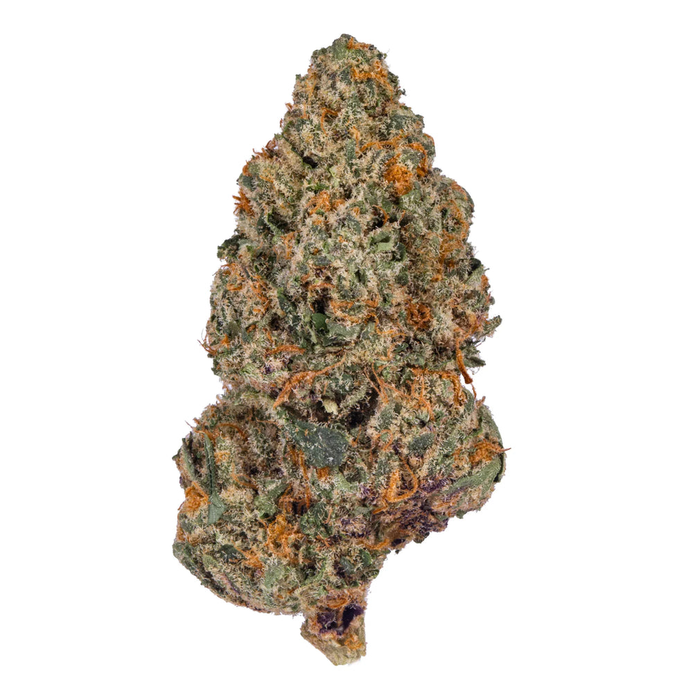 Jealousy Runtz cannabis bud with purple hues, orange hairs, and frosty trichomes