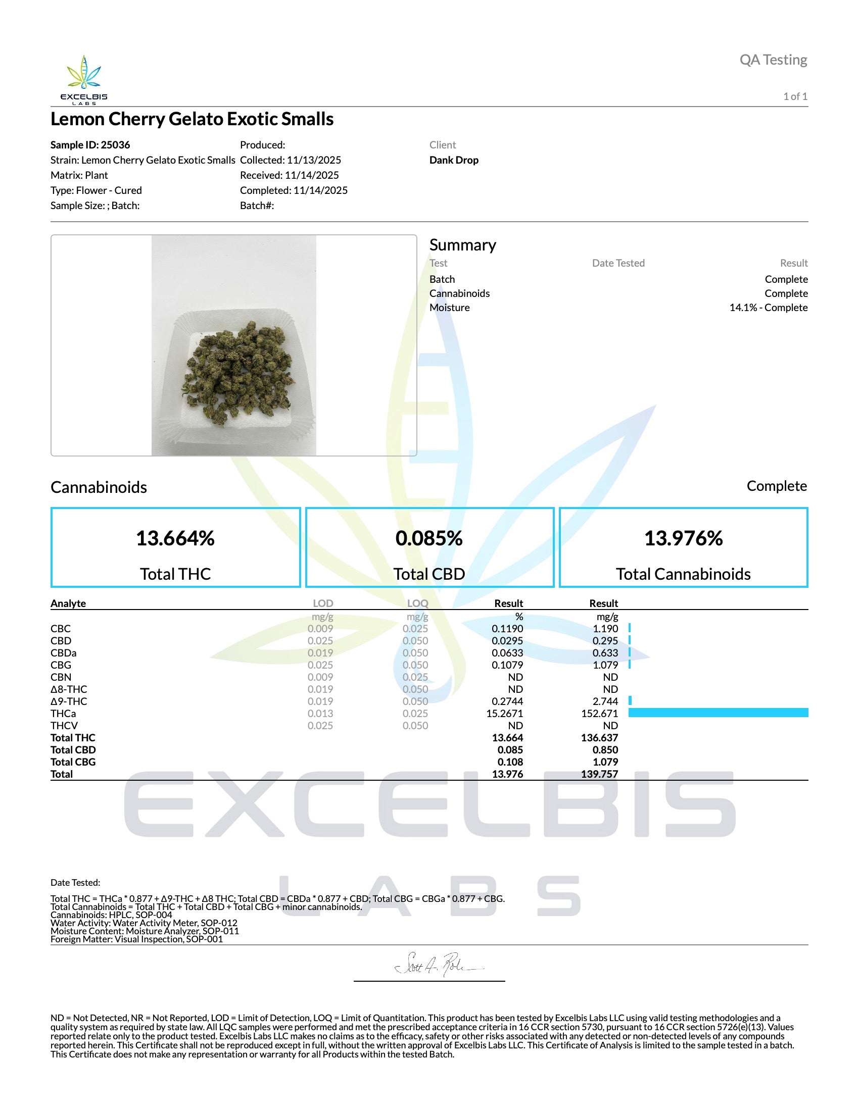 Lemon Cherry Gelato Exotic Smalls