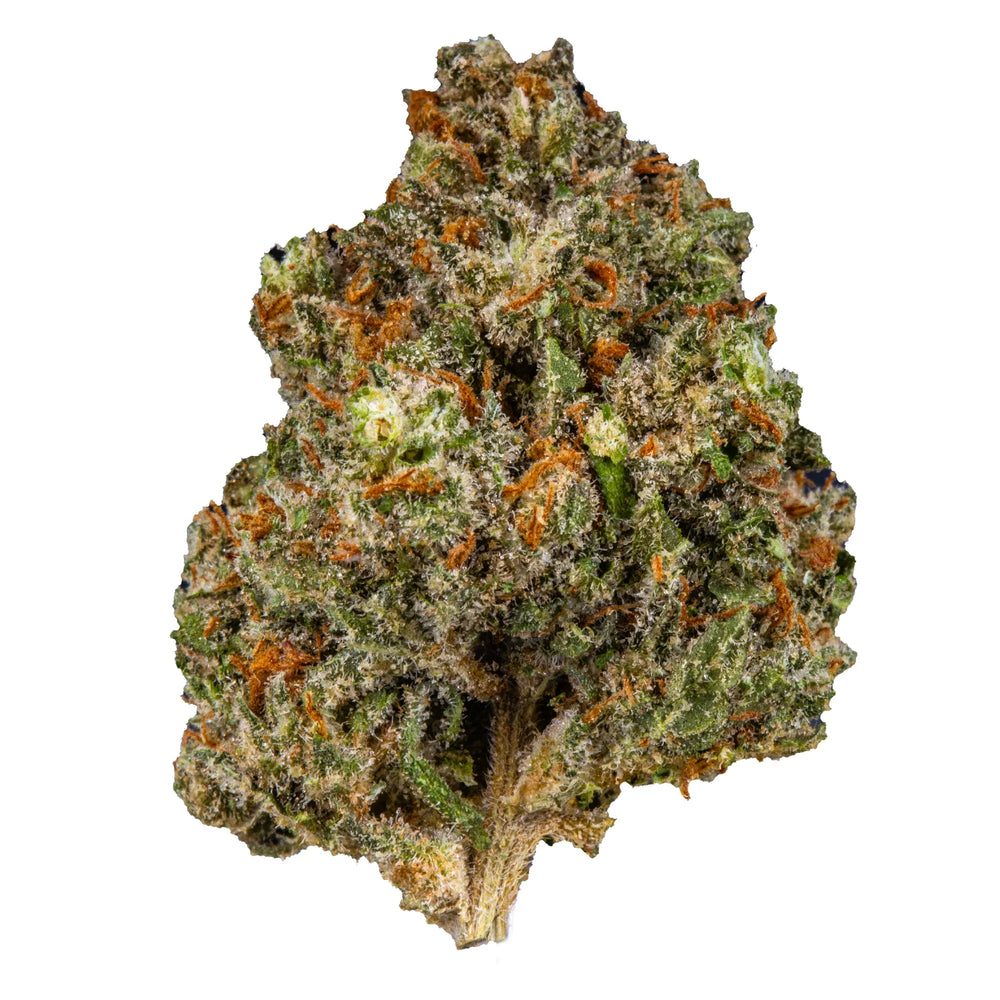 OG Kush dense green and orange cannabis flower bud covered in frosty trichomes on white