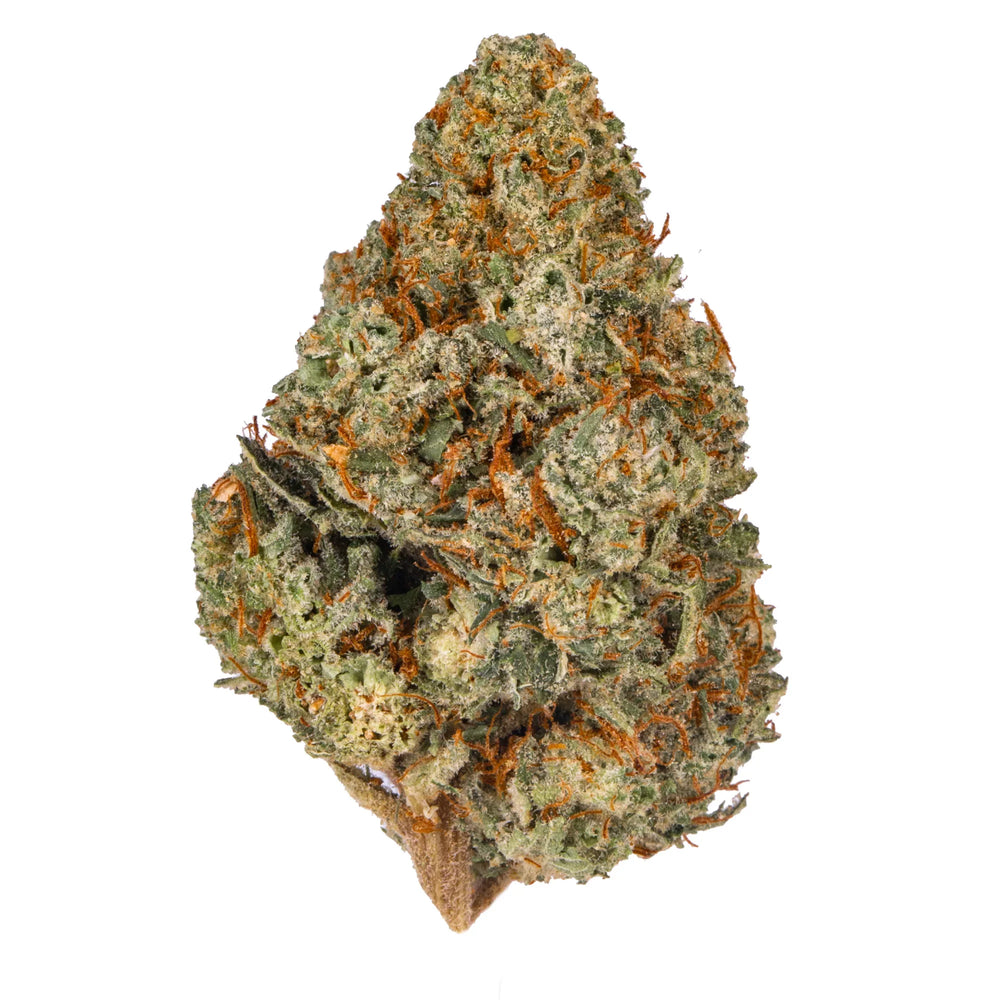 Close-up of Super Lemon Haze cannabis flower bud with green, orange, and frosty trichomes.