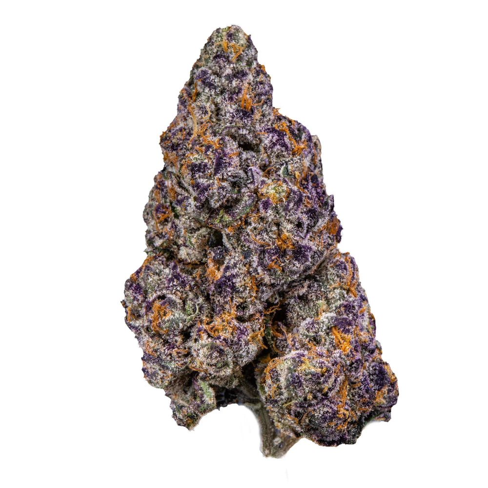 Purple and green cannabis bud with orange hairs and frosty trichomes on white background