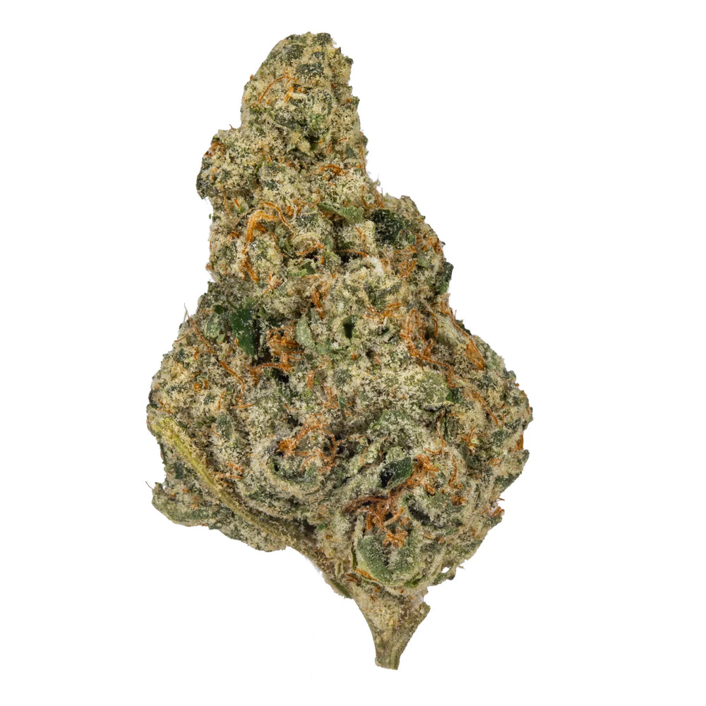 Close-up of frosty, green Cran Berry Fritter cannabis bud with orange hairs