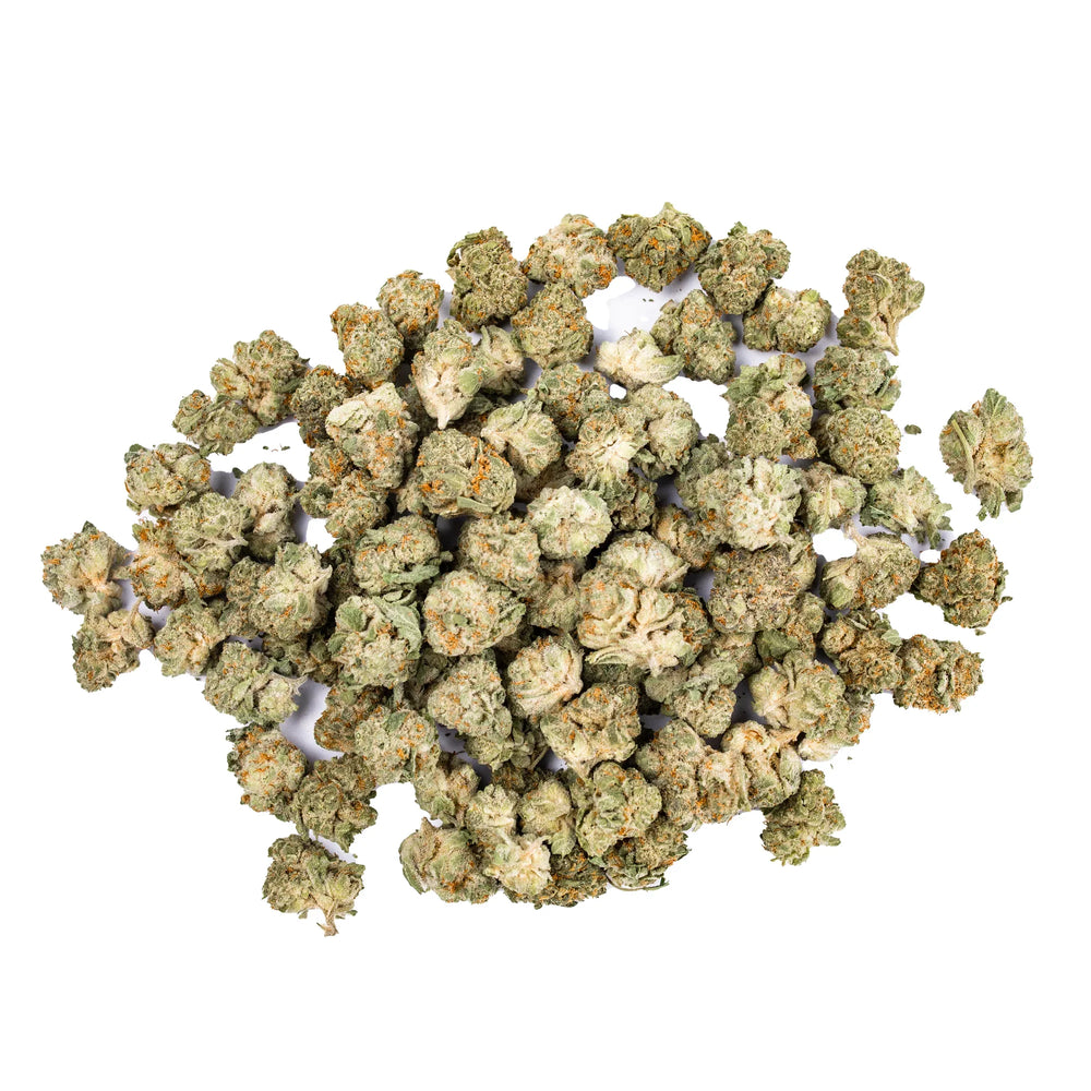 Gusher Mintz small cannabis buds displayed on a white background