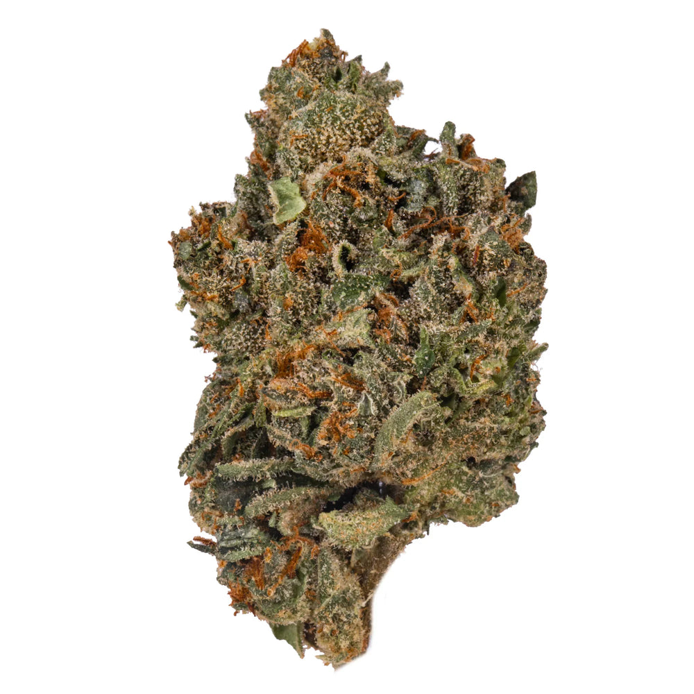 Close-up of Kandy Kush cannabis bud with green and orange hairs on white background