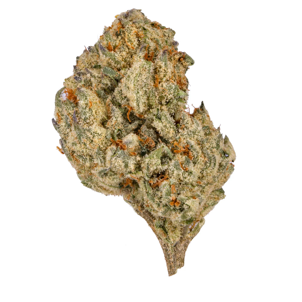 Close-up of a frosty cannabis bud with orange hairs and green leaves on white background