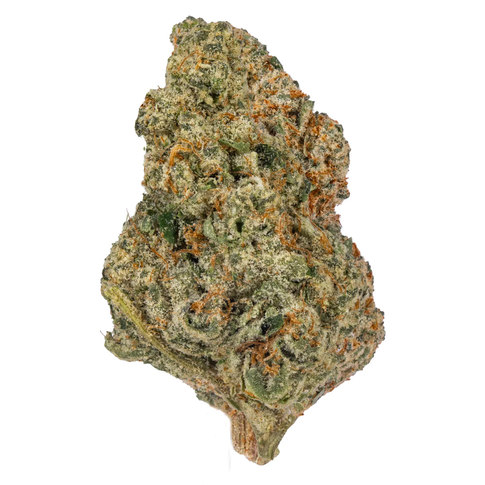 Close-up of Tangie cannabis flower bud with orange hairs and frosty trichomes on white background